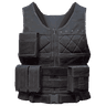 vest level 2